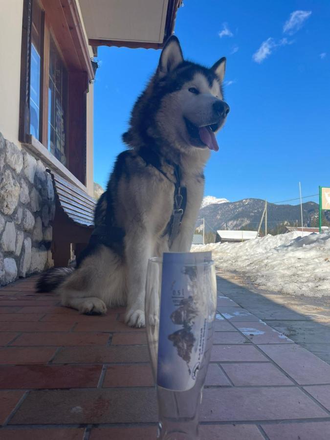 Al Cervo Albergo - Hotel Stabiziane Kültér fotó
