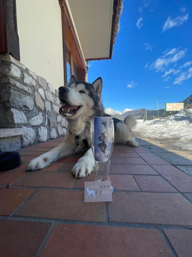 Al Cervo Albergo - Hotel Stabiziane Kültér fotó